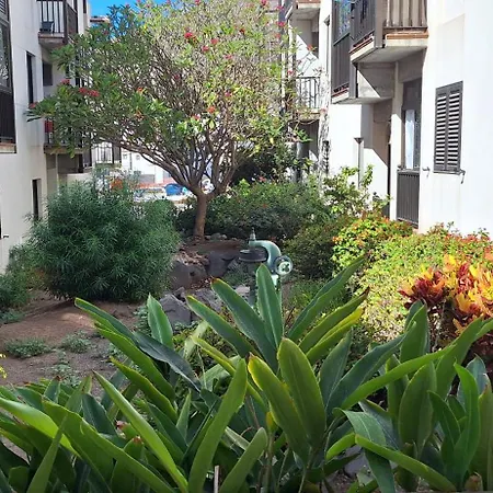 Pejeverde * Playa de Santiago (Isla de la Gomera)